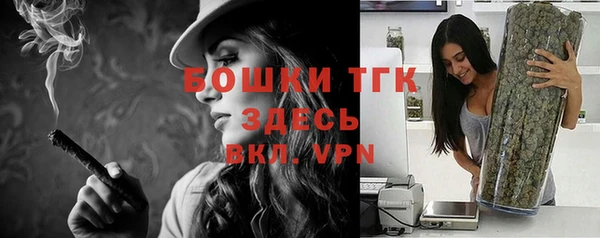 гидропоника Бородино