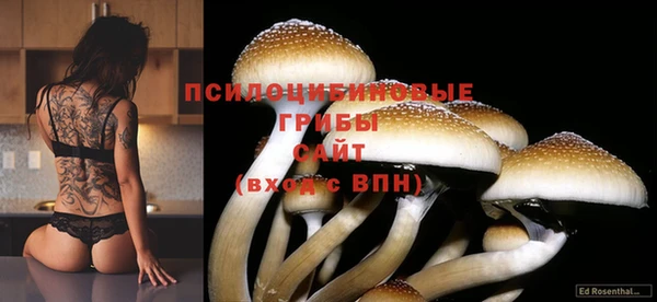 гидропоника Бородино