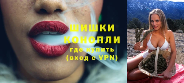 гидропоника Бородино