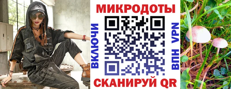 Галлюциногенные грибы Psilocybine cubensis  Сургут 