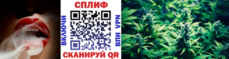 Бошки Шишки ГИДРОПОН  Сургут 